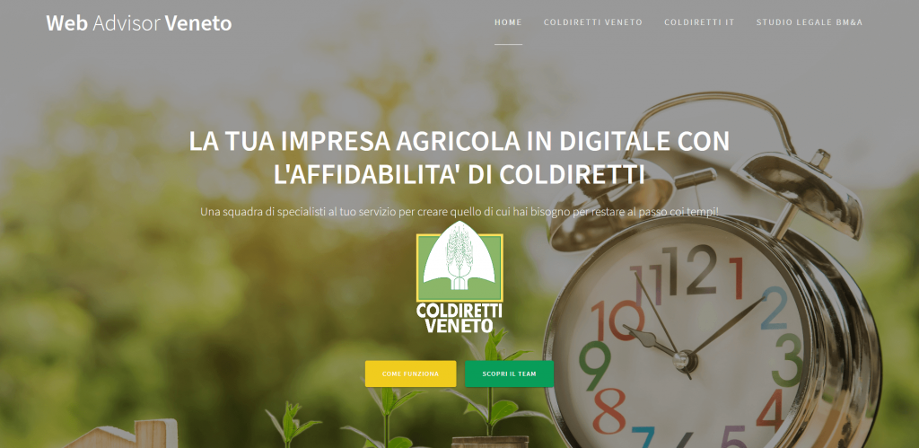 Web Advisor Verona